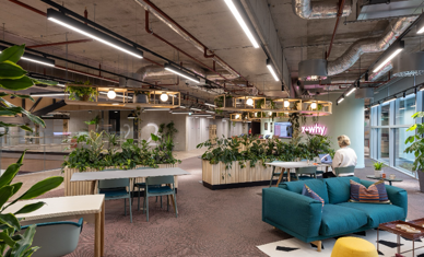 X+Why Co Working Space