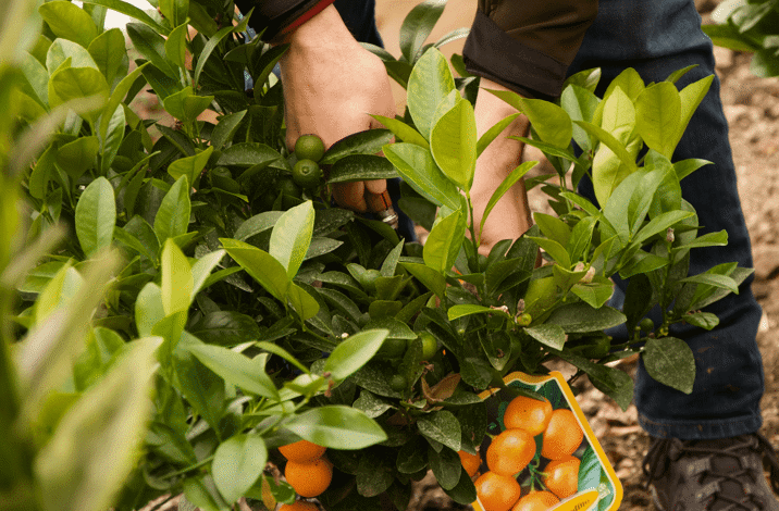 Sustainability 1 (Carbon Footprint)