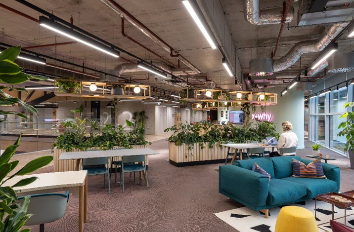 X+Why Co Working Space